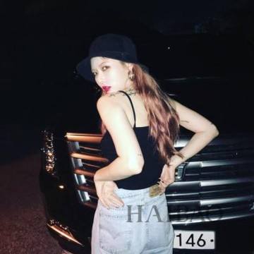 ky体育手机app下载